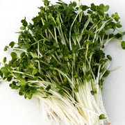 Mumm's Sprouting Seeds, Broccoli, Alfalfa, Red Clover, Green Peas, Radish 100g
